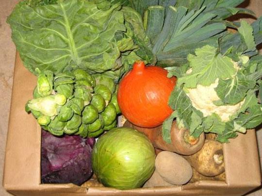 Organic Produce